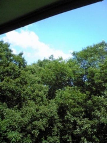 障害対応　三島中継局 - 三島局受信方向