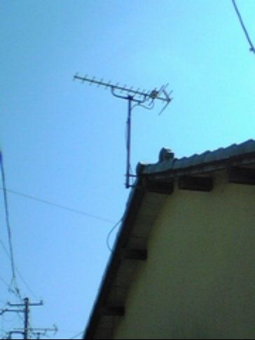 三島中継局 - 既存アンテナ